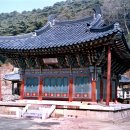 도리사로 이미지