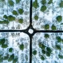 賴及萬方 이미지