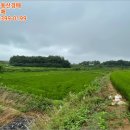 교로1리 마을회관 이미지