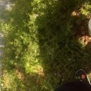 녹천식당 이미지