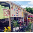 종점민박 이미지