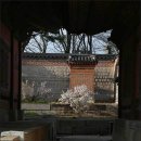 한국 궁궐의 아름다운 굴뚝정원 '경복궁 아미산' 이미지