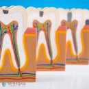 계산센트럴치과의원 이미지