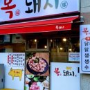 댕냥잇츠 이미지