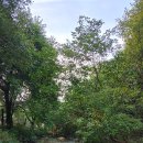 화양황토빌리지 이미지