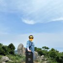 수국도 | 통영 연화도 수국 트레킹 후기!