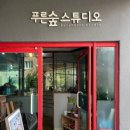 푸른숲스튜디오