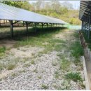 상수 태양광발전소 이미지