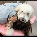 몽블리스 이미지