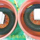 전주 타이어나라 이미지
