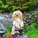 메모리 펜션 이미지