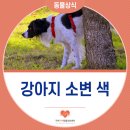 인동동물병원 이미지