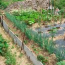 홍익부동산중개사무소 이미지