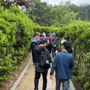 (주)거제저도유람선 | [거제도] 🏝️ 저도｜대통령 해상 별장 &lt;저도&gt; 입도부터 🚢유람선 이용후기