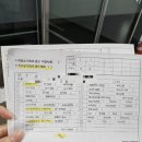 주동물병원 | 대전 마리아 | 초음파, 채취 전 주사