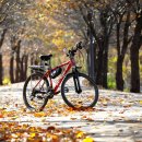 중곡2동 학습나루터 ★색과 향을 담아낸 건강차★ | 서산 관광코스, 여행, 맛집