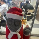 담백 | 오소록 고기국수 담백깔끔후기