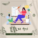 봄봄피아 블로그 스터디 봄블로디 9기 후기