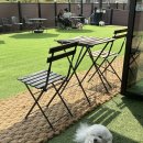 문학동 | 인천문학동애견놀이터 후기, 강아지 뛰어놀기 좋은 곳 찾는다면 여기!