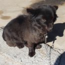 천등박달로 이미지