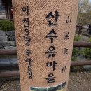 백사산수유마을(이천)/1 이미지