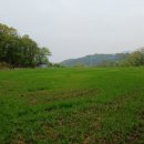 하포리 지석묘 이미지