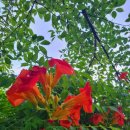 창고형정육점 이미지