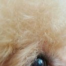 가나종합동물병원 이미지