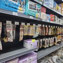 부산강아지분양 고양이분양 베스트펫 본점 이미지