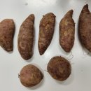 베니실제 이미지