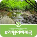 강동민박 | [가평 어비계곡] 주차장, 화장실 등 계곡 물놀이 관련 정보 안내(2026)