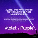 색채 심리 이미지