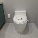 파크뷰아파트 | 분당 변기교체 후기｜정자동 파크뷰 아파트 하츠 HZB-2000 투피스 변기 교체 설치 사례