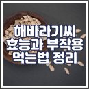 해바라기씨 효능과 부작용, 먹는법 정리 이미지