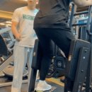 더 세이짐 이미지