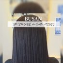 바이화미주두피 이미지