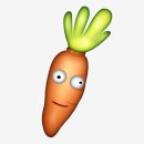 웨딩헬퍼양성과정 | [W_06] 셀프 웨딩 드레스 준비 (알리 / 베일즈 / 헬퍼님)