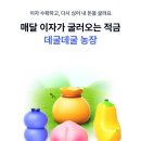 케이농장 네이버블로그