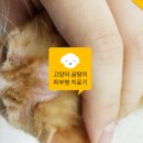 영대동물병원 이미지