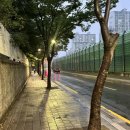 북악자동차 | [창동자동차운전면허학원 후기] 도로연수로 장롱면허 탈출기