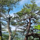 칠보산휴게소 이미지