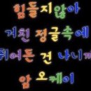오케이씨농장 네이버블로그