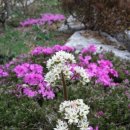 서당골농장 이미지