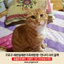 세븐일레븐 희망점 이미지