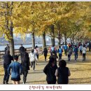 마라톤 이미지