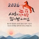 송원행정사 이미지