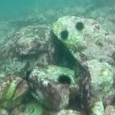 바다랑해초랑 이미지