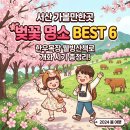 고남저수지 | 서산 가볼만한곳 벚꽃 명소 베스트 6 한우목장 웰빙산책로 개화 시기