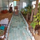 자연부화장 이미지