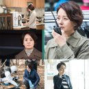 라이브 티브이데일리
